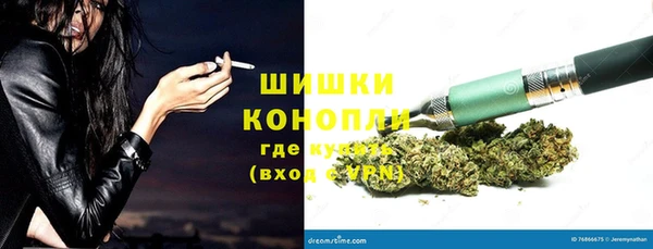 индика Заволжск