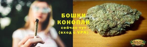 индика Заволжск