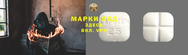 индика Заволжск
