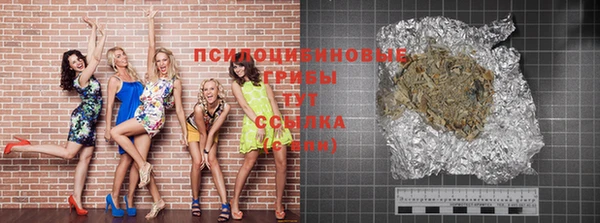 индика Заволжск