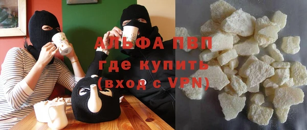 индика Заволжск