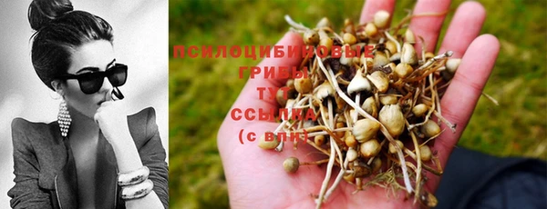 дистиллят марихуана Заволжье